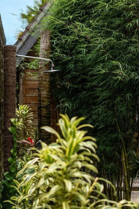 The Padang Villa Jungle Escape 5 Mins Drive From Uluwatu'S Beaches Bagian luar foto